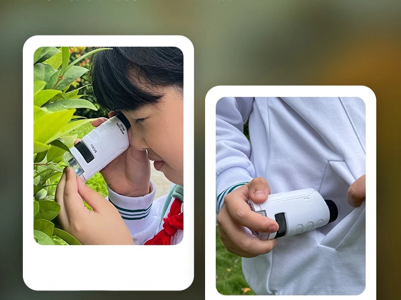 Zakmicroscoop