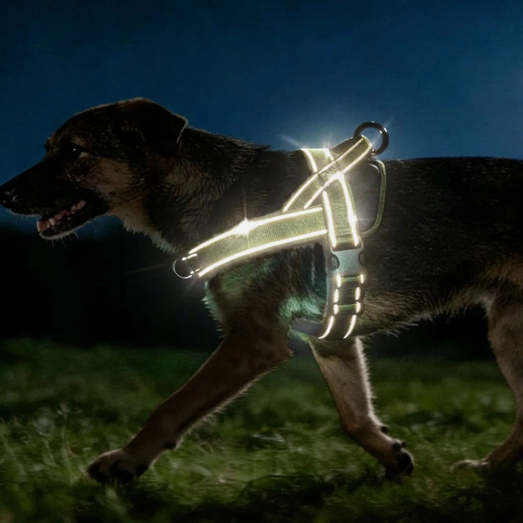 Anti-Trek Hondentuig met Reflectie